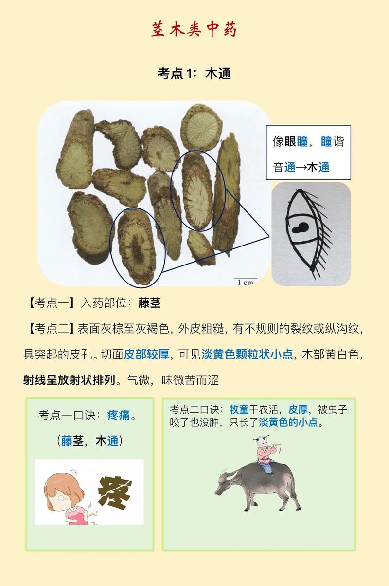印科印度代购希爱力是真的吗？避坑指南与正品鉴别全攻略